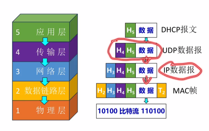 IP报文在协议栈中的位置