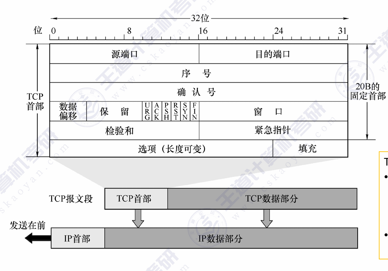 TCP段格式